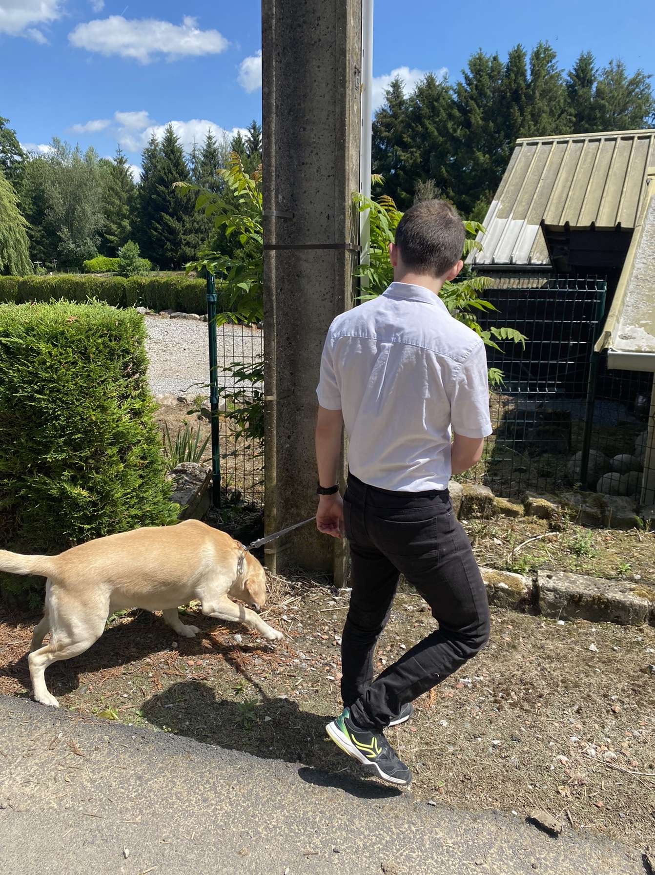 Profilo di Salah-dine, 21 anni, incontri a Tolfa
